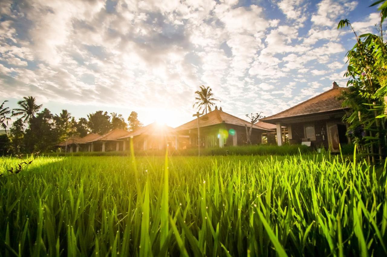 Villa Sri Lestari Banyuatis Munduk Esterno foto